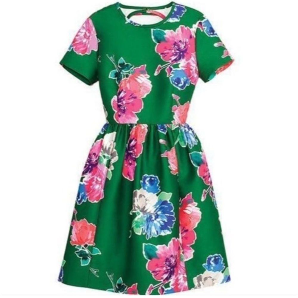 Kate Spade Stelli Green Pink Floral Garden fit And Flare Dress